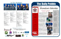 The Daily Pebble