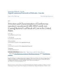 Detection and Characterization of Xanthomonas Vasicola Pv