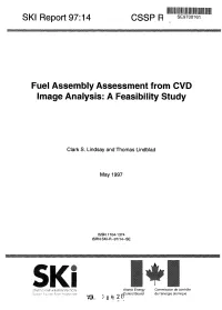 Fuel Assembly Assessment from CVD Image Analysis: a Feasibility Study