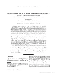 Convective Structures in a Cold Air Outbreak Over Lake Michigan During Lake-ICE