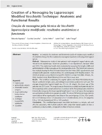 Creation of a Neovagina by Laparoscopic Modified Vecchietti Technique Baptista Et Al