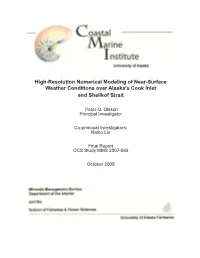 High-Resolution Numerical Modeling of Near-Surface Weather Conditions Over Alaska’S Cook Inlet and Shelikof Strait