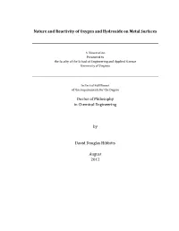 Nature and Reactivity of Oxygen and Hydroxide on Metal Surfaces