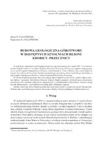 Budowa Geologiczna Górotworu W Dostępnych Sztolniach Rejonu Krobicy–Przecznicy