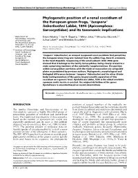 Isospora’ Lieberkuehni Labbe, 1894 (Apicomplexa: Sarcocystidae) and Its Taxonomic Implications