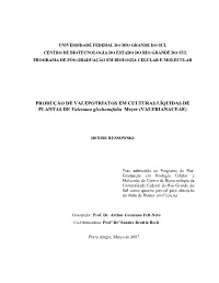 OCR Document
