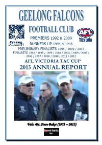 2013 Annual Report