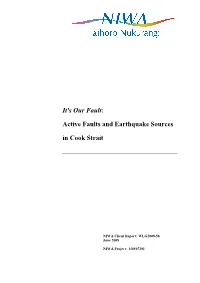 Active Faults and Earthquake Sources in Cook Strait