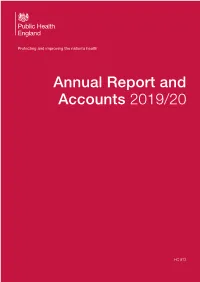 Annual Report and Accounts 2019-2020