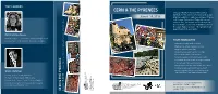 Cern & the Pyrenees