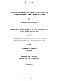 Dissertation.Pdf