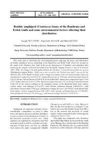 Benthic Amphipod (Crustacea) Fauna of the Bandırma and Erdek Gulfs and Some Environmental Factors Affecting Their Distribution