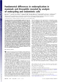 Fundamental Differences in Endoreplication in Mammals and Drosophila Revealed by Analysis of Endocycling and Endomitotic Cells