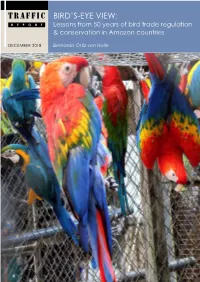 TRAFFIC Bird’S-Eye View: REPORT Lessons from 50 Years of Bird Trade Regulation & Conservation in Amazon Countries