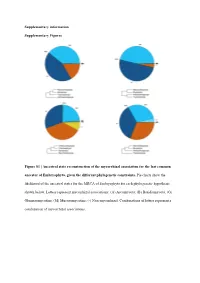 Ancestral State Reconstruction of the Mycorrhizal Association for the Last Common Ancestor of Embryophyta, Given the Different Phylogenetic Constraints