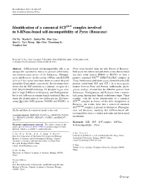 Identification of a Canonical SCF Complex Involved in S-Rnase