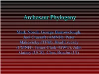 Advanced Theropod Phylogeny