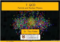 7. QCD Particle and Nuclear Physics