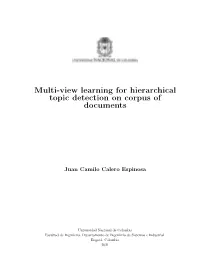 Multi-View Learning for Hierarchical Topic Detection on Corpus of Documents