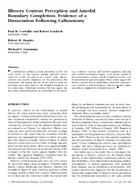 Illusory Contour Perception and Amodal Boundary Completion: Evidence of a Dissociation Following Callosotomy