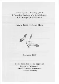 The Migration Strategy, Diet & Foraging Ecology of a Small
