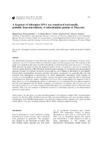 A Fragment of Chloroplast DNA Was Transferred Horizontally, Probably from Non-Eudicots, to Mitochondrial Genome of Phaseolus