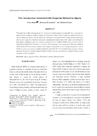 New Ascomycetes Associated with Grapevine Dieback in Algeria