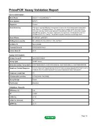 Primepcr™Assay Validation Report