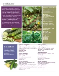 Cucumber Selection