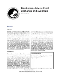 Sambucus—Intercultural Exchange and Evolution Daniel F