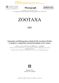 Coleoptera: Lampyridae) and the Description of New Genera