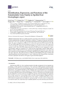 Identification, Expression, and Functions of the Somatostatin Gene