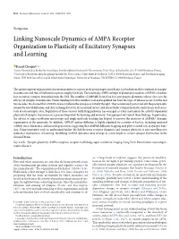 Linking Nanoscale Dynamics of AMPA Receptor Organization to Plasticity of Excitatory Synapses and Learning