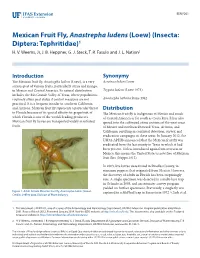 Mexican Fruit Fly, Anastrepha Ludens (Loew) (Insecta: Diptera: Tephritidae)1 H