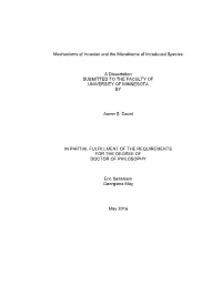 {Replace with the Title of Your Dissertation}