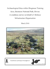 2018 Ringmoor Monument Condition Report