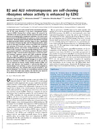 B2 and ALU Retrotransposons Are Self-Cleaving Ribozymes Whose Activity Is Enhanced by EZH2