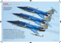 Starfighters' F-104 Demo Team