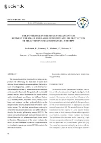 The Difference in the Mucus Organization Between the Small and Large Intestine and Its Protection of Selected Natural Substances