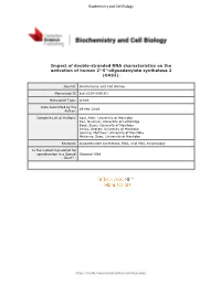 5'-Oligoadenylate Synthetase 2 (OAS2)