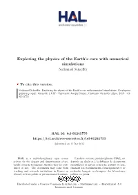Exploring the Physics of the Earth's Core with Numerical Simulations