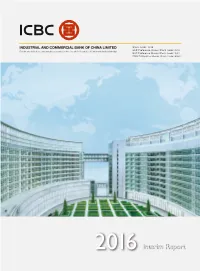 Interim Report