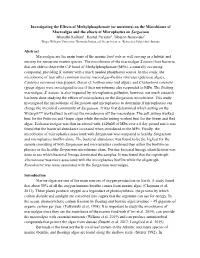 On the Microbiome of Macroalgae and the Effects of Microplastics O