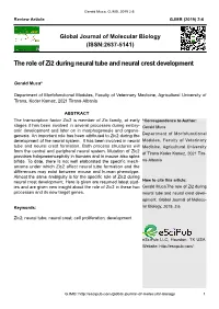 The Role of Zi2 During Neural Tube and Neural Crest Development