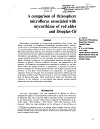 A Comparison of Rhizosphere Microfloras Associated with Mycorrhizae of Red Alder and Douglas-Fir