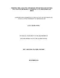 Bardaweel Umn 0130E 11654.Pdf (7.944Mb Application/Pdf)