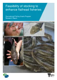 Feasibility of Stocking to Enhance Flathead Fisheries