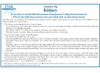 Kidney in an Effort to Aid Health Information Management Coding Professionals for ICD-10, the Following Anatomy Tip Is Provided with an Educational Intent