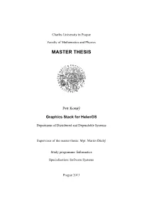 Master Thesis