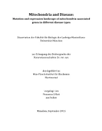 Mitochondria and Disease: Mutation and Expression Landscape of Mitochondri-Associated Genes in Different Disease Types